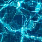 “Those Numbers Can’t Be Right.”