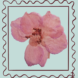 Secret Gardens In My Mind