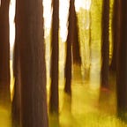 Vintage Wisdom from Ann Anderson Evans