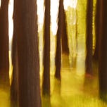 Vintage Wisdom from Ann Anderson Evans