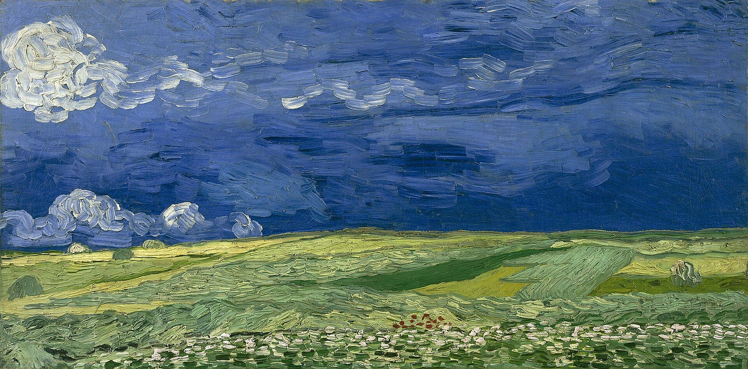 A green wheatfield under a dark blue sky with heavy white and grey clouds A green wheatfield under a dark blue sky with heavy white and grey clouds