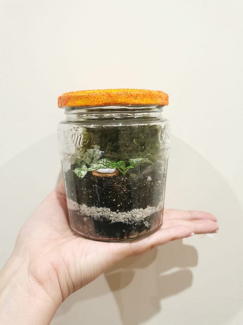 Three photos of closed terrariums