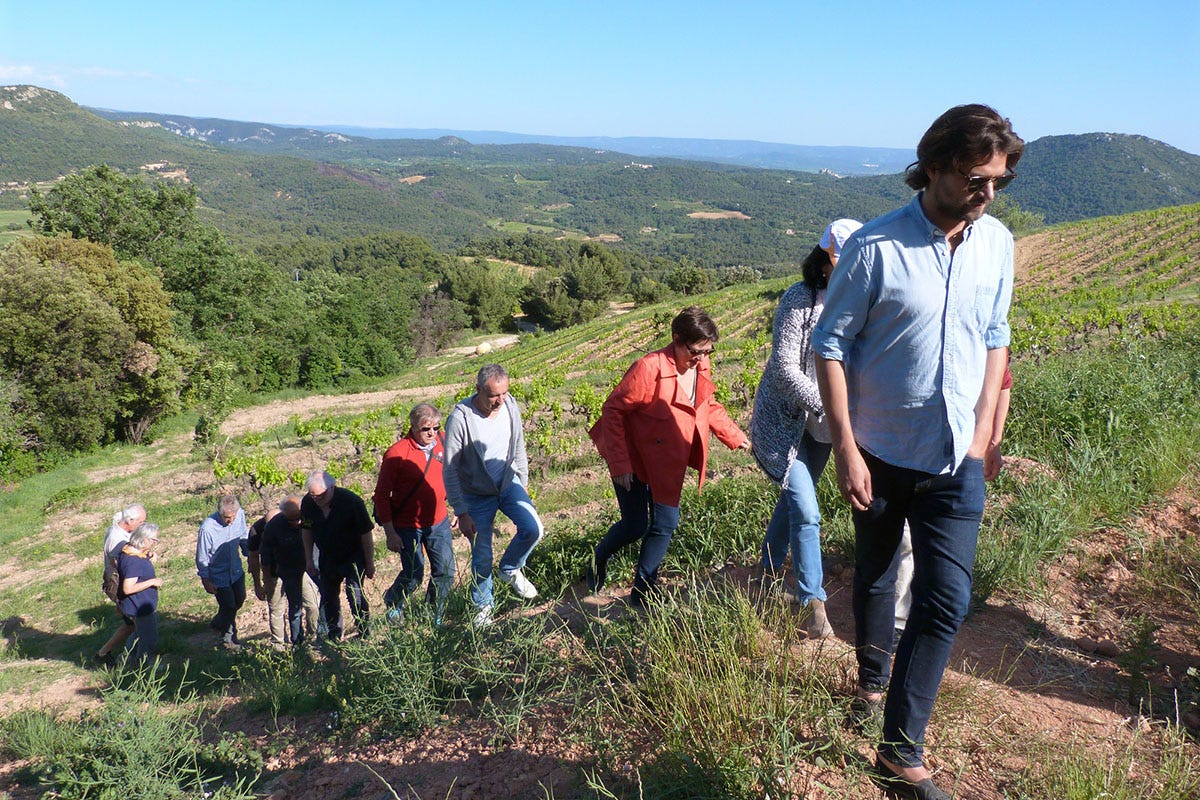 Domaine de la Ferme Saint-Martin - sur le sentier des vignes