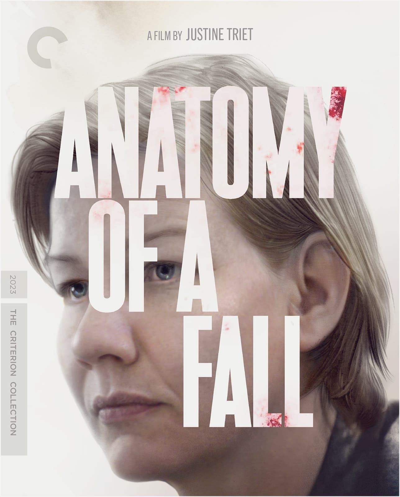 Anatomy of a Fall (2023) | The Criterion Collection