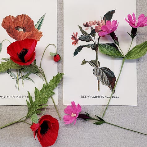 Bright red poppies growing in my garden, one is red with dark spots at the base of the petals and dark green stamen, the other has white spots at the base of the petals and golden yellow stamen. So different!