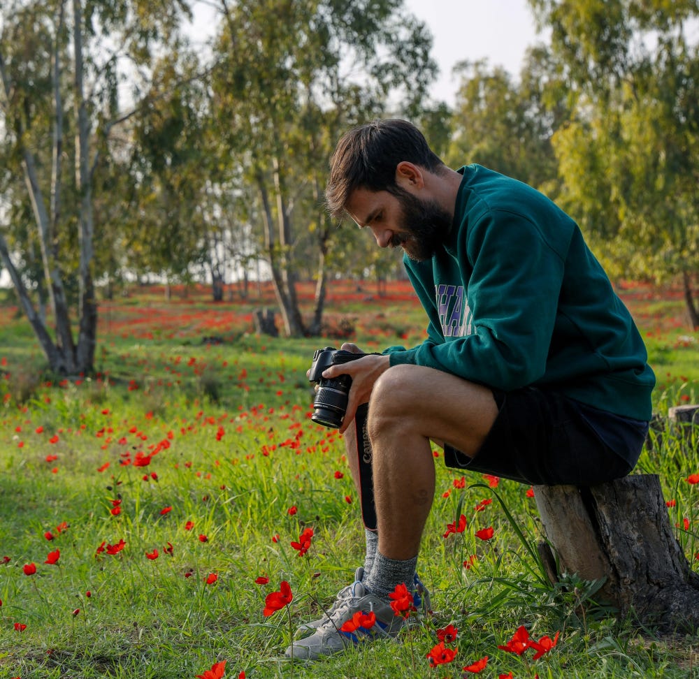 Man with camera sitting on a stump in a lightly wooded field filled with red anemone poppies (kalaniot)