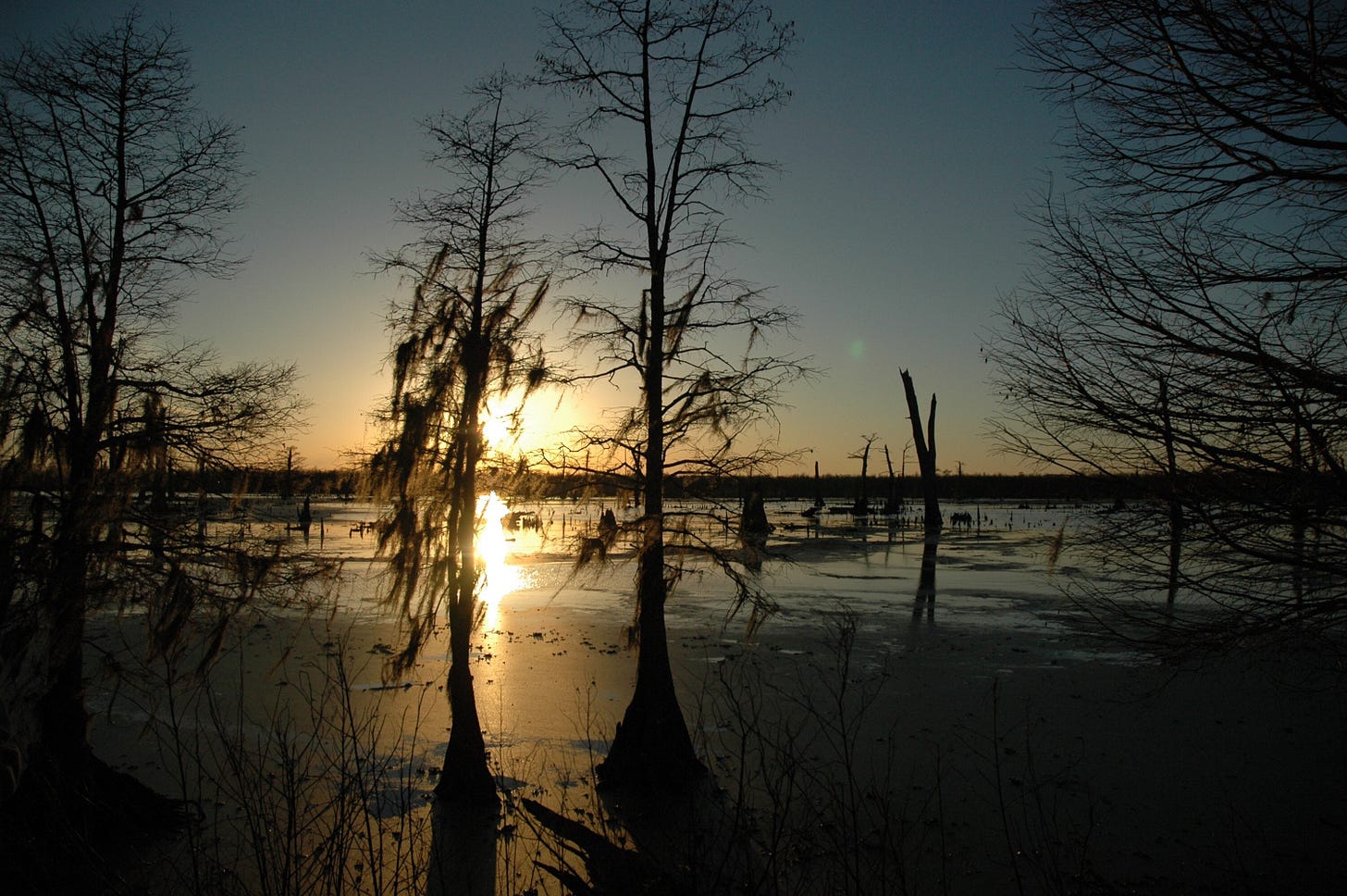 Sunset over a swamp.