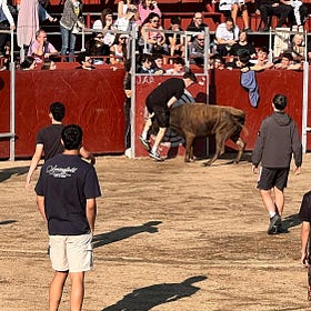 Las mejores imágenes de los festejos taurinos