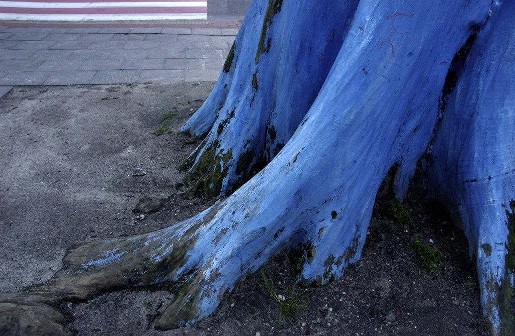 (fot. orangejon / Flickr)