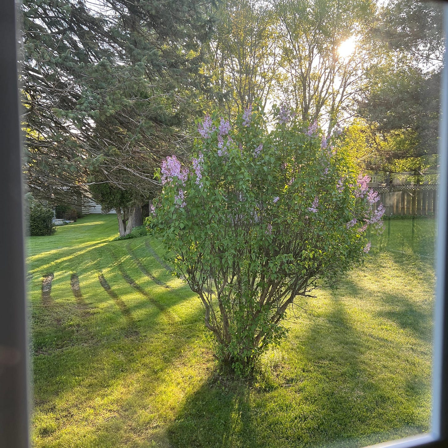 upload in progress, 0