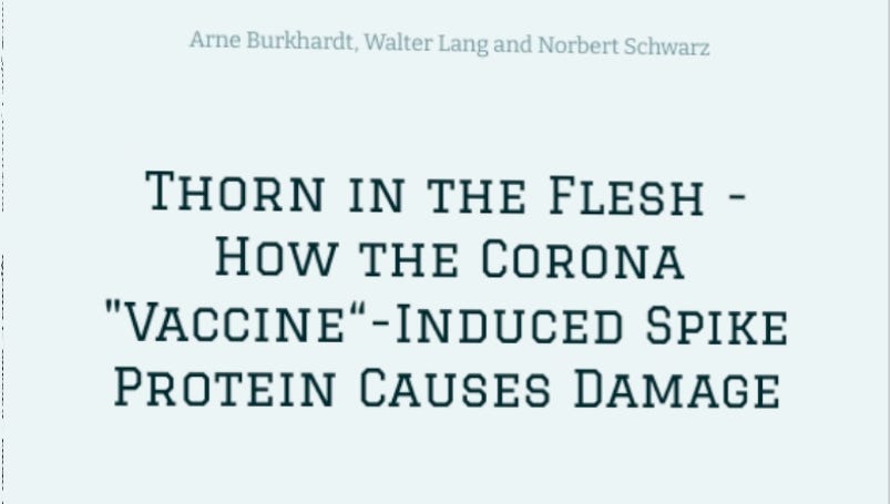 Thorn In The Flesh - How The Corona "Vaccine" - Induced Spike Protein Causes Damage- Burkhardt, Lang and Schwartz