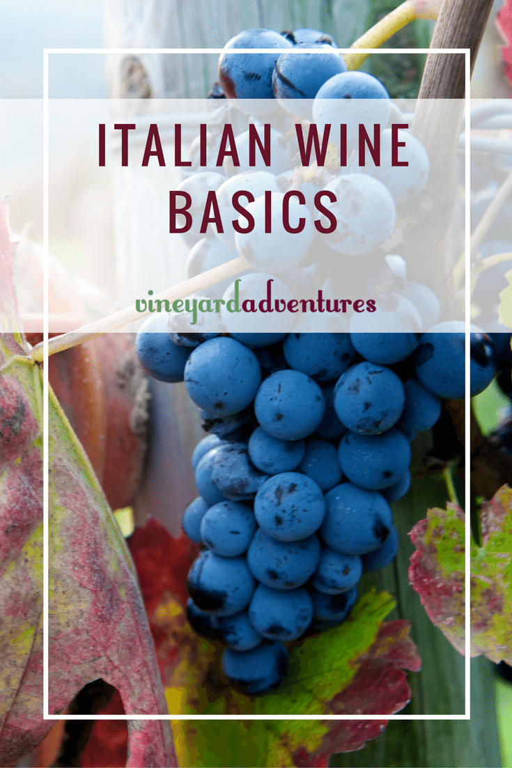 Italian Wine Basics | Vineyard Adventures Italian Wine Basics | Vineyard Adventures