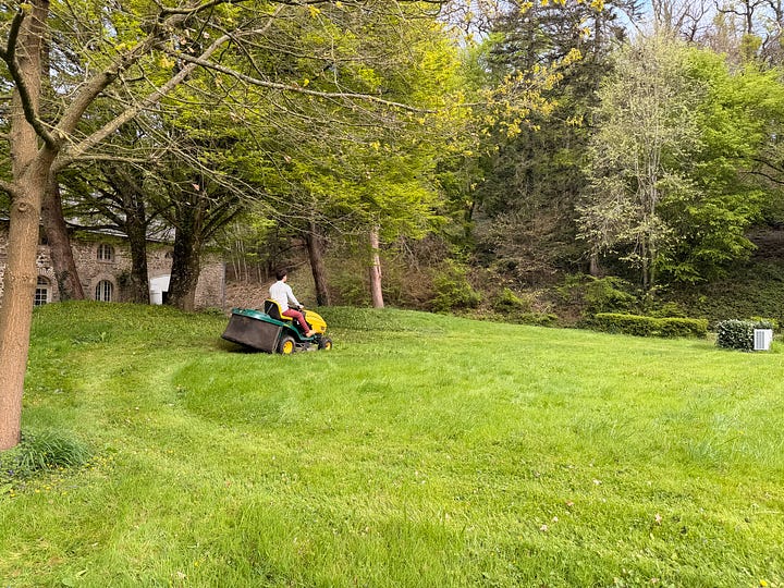 A man on a yellow ride-on mower on a green lawn; a barefoot boy walking a slackline between trees; a bowl of freshly picked cherry tomatoes with a zucchini; a plate of cucumber slices around hummus.