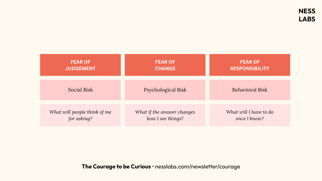 The three fears blocking the courage to be curious: Fear of Judgement, Fear of Change, Fear of Responsibility (Ness Labs) The three fears blocking the courage to be curious: Fear of Judgement, Fear of Change, Fear of Responsibility (Ness Labs)