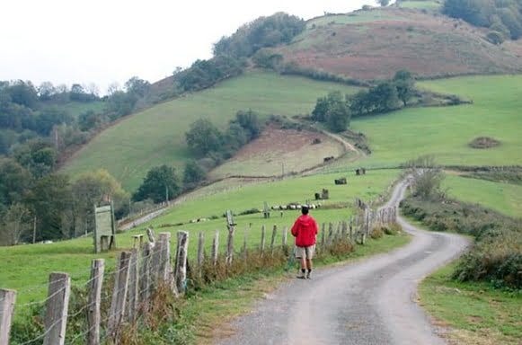 8445948377_27c45bc270_o 8445948377_27c45bc270_o