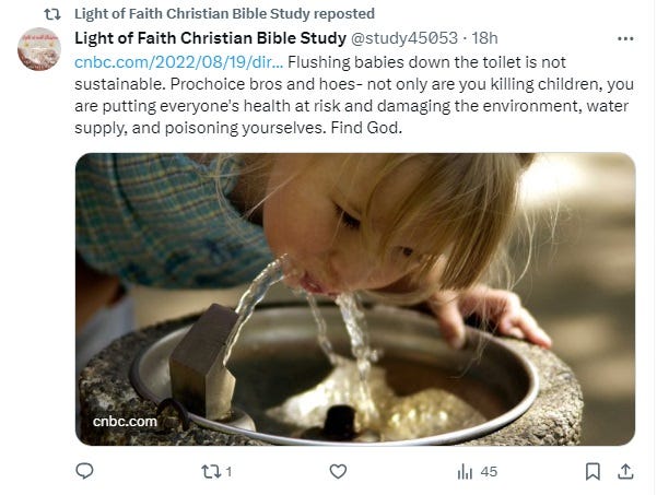 Light of Faith's retweet of a CNBC story, with this explanatory text: ' Flushing babies down the toilet is not sustainable. Prochoice bros and hoes- not only are you killing children, you are putting everyone's health at risk and damaging the environment, water supply, and poisoning yourselves. Find God.' Light of Faith's retweet of a CNBC story, with this explanatory text: ' Flushing babies down the toilet is not sustainable. Prochoice bros and hoes- not only are you killing children, you are putting everyone's health at risk and damaging the environment, water supply, and poisoning yourselves. Find God.'