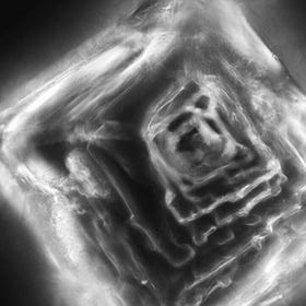 "The Great Chloride Mystery: Lost in Ion Nirvana:
