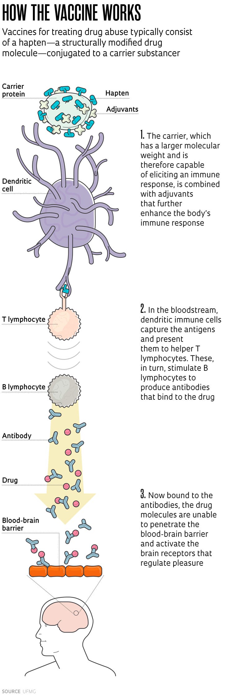 A potential vaccine against cocaine addiction : Revista Pesquisa Fapesp