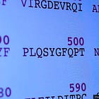 The Only Amino-Acid Difference Between SARS-CoV-2 and Its Closest Ancestor's Human-Binding Motif Was Mutated in Pre-Pandemic Strains in 2007