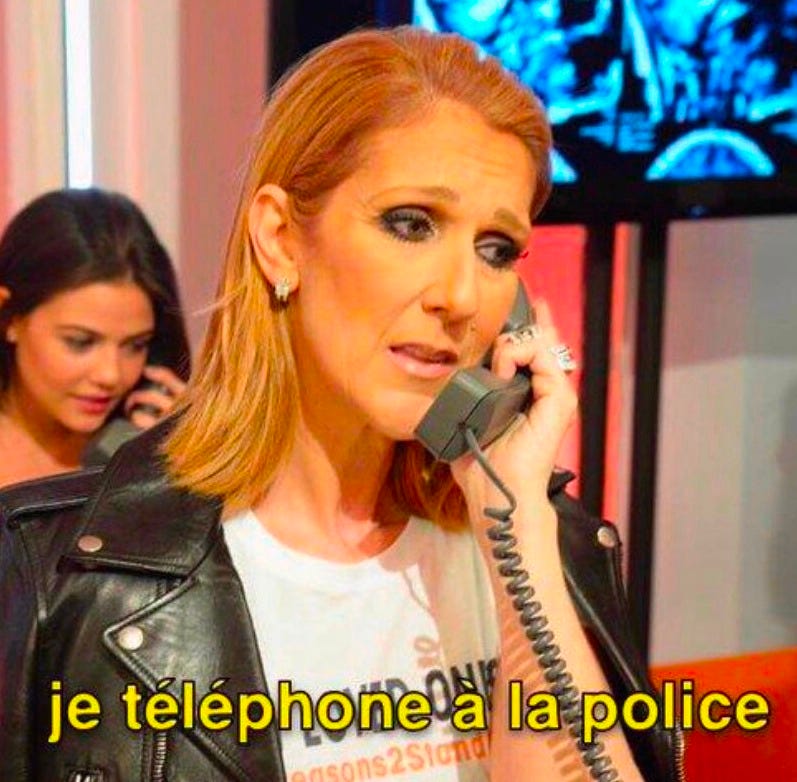 Summer Ray on X: "A Celine Dion meme special. https://t.co ...