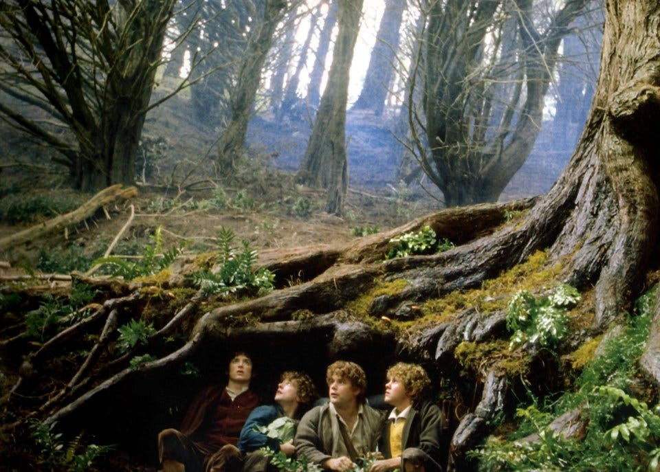 The creepy woods you can visit in the UK which inspired Lord of the Rings  and Harry Potter | The Sun