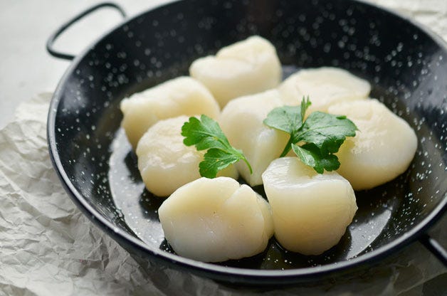 raw sea scallops in a pan