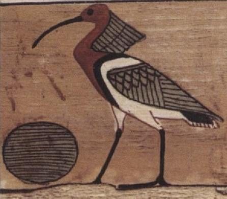The Ibis in Ancient Egypt : r/Cowofgold_Essays