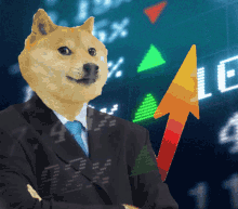 Doge GIFs | Tenor