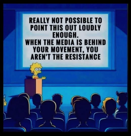 Controlled resistance — manufactured dissent that looks like real opposition Controlled resistance — manufactured dissent that looks like real opposition