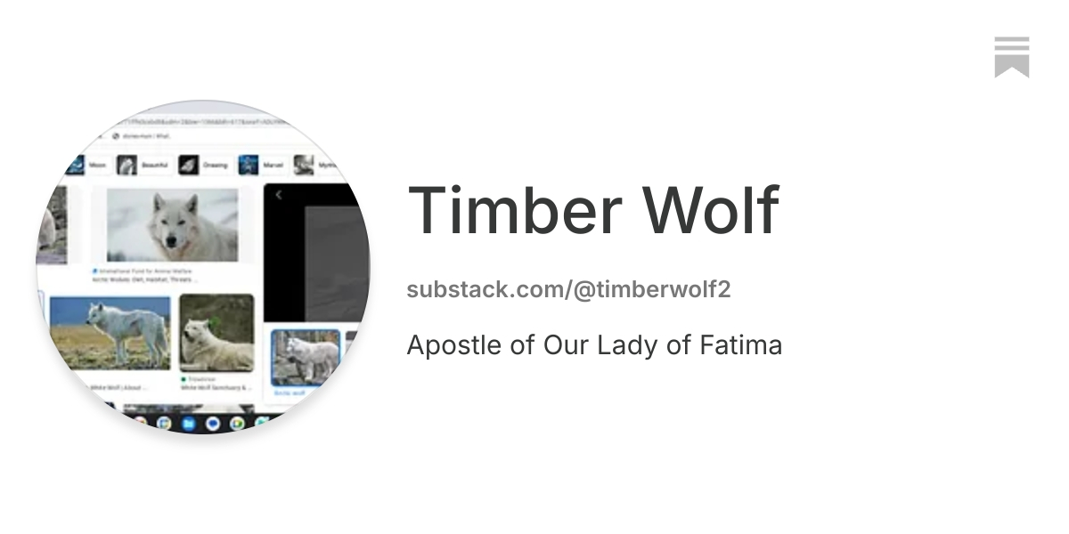 Timber Wolf | Substack