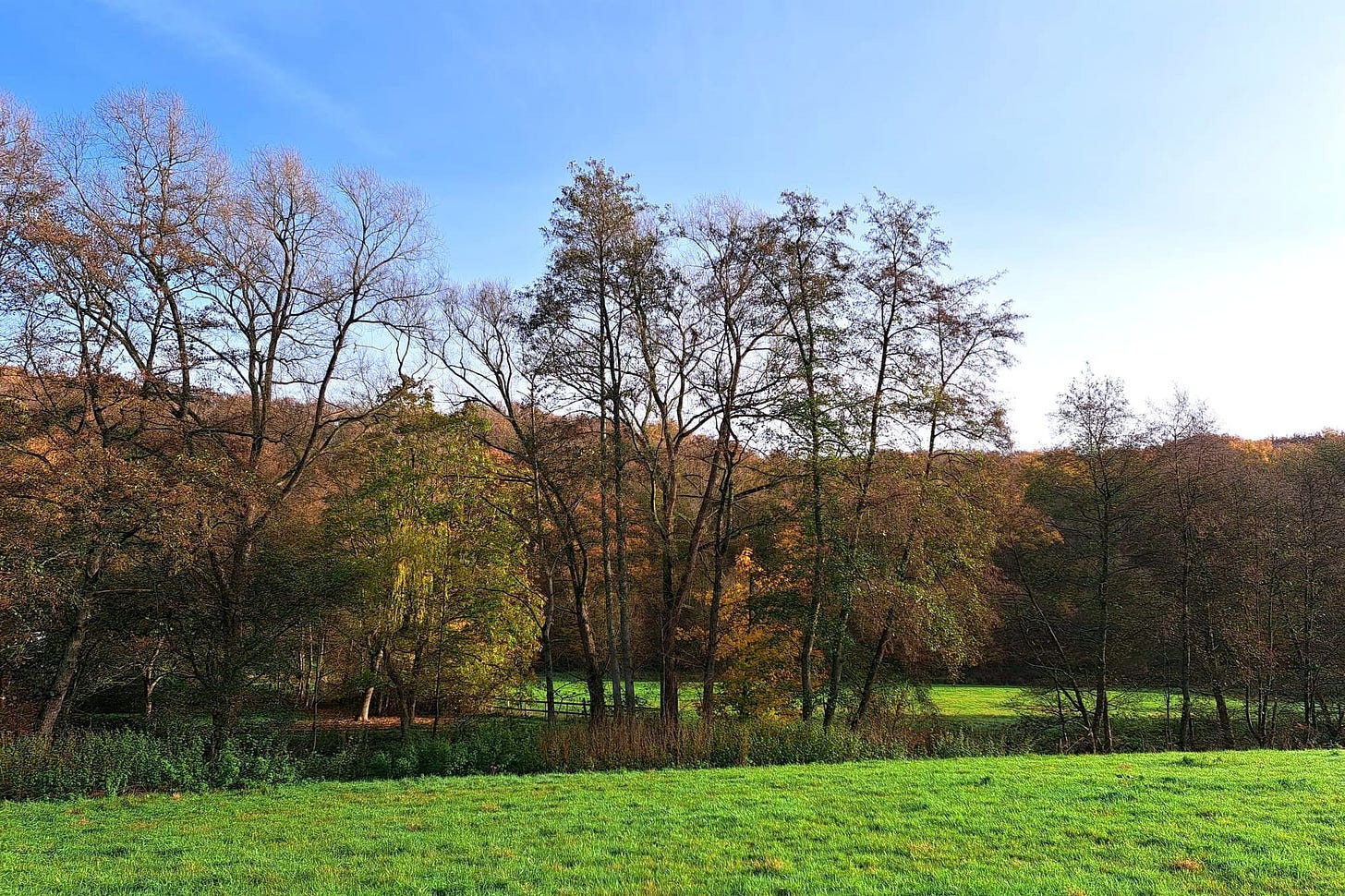 belgian ardennes