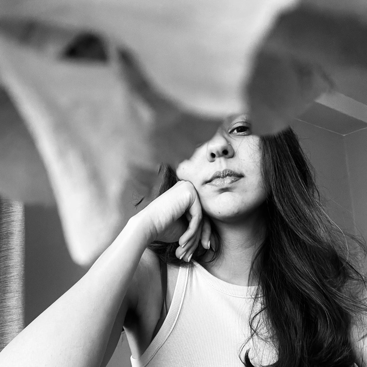 badgersett’s Substack