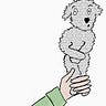 Don't Be a Dick to Your Dog