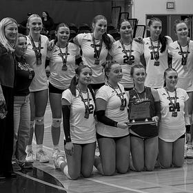 High School Volleyball: The All-League Lists