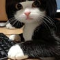 carolyn66tw's avatar