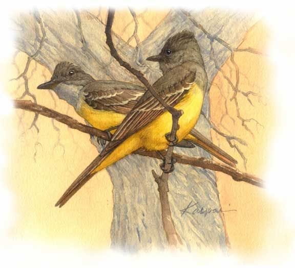 17 Best images about Debby Kaspari on Pinterest | Indigo, Sketching and ... 17 Best images about Debby Kaspari on Pinterest | Indigo, Sketching and ...