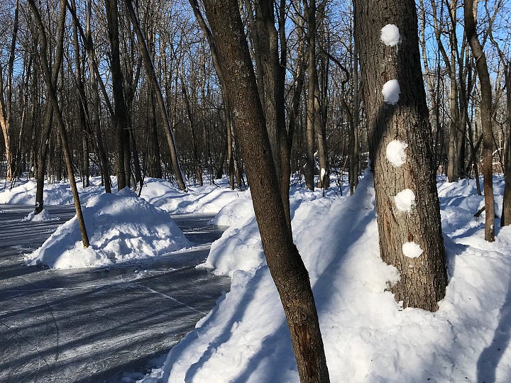 Mandala on beach, pine needles in bark, ice between trees, snow pattern on tree trunk