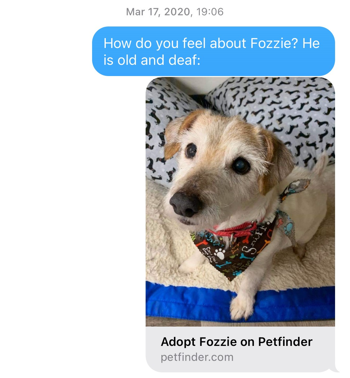 Screenshot of text message from Jeff: Text reads: "How do you feel about Fozzie? He is old and deaf. Picture of Fozzie in a colorful bandanna, staring at the camera