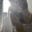 altsnxz's avatar