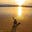LightheWorld*'s avatar