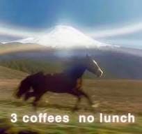 KIERSTEN DUKE | 3 coffees no lunch 🚀 | Instagram