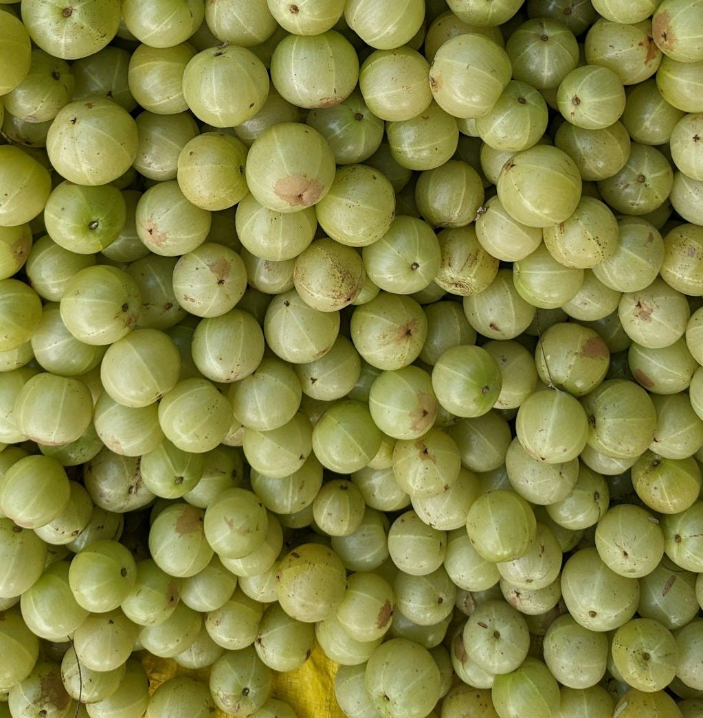 Alma berry fruit is one of the most potent sources of Vitamin C and other vitamins and minerals! Alma berry fruit is one of the most potent sources of Vitamin C and other vitamins and minerals!