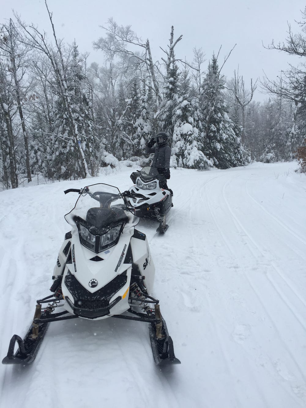 Lisa on a snowmobile in the snow on the trail, trees iced with white. Lisa on a snowmobile in the snow on the trail, trees iced with white.