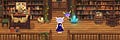 ステラ | 風の魔法使い＆クリエイティブアドバイザー