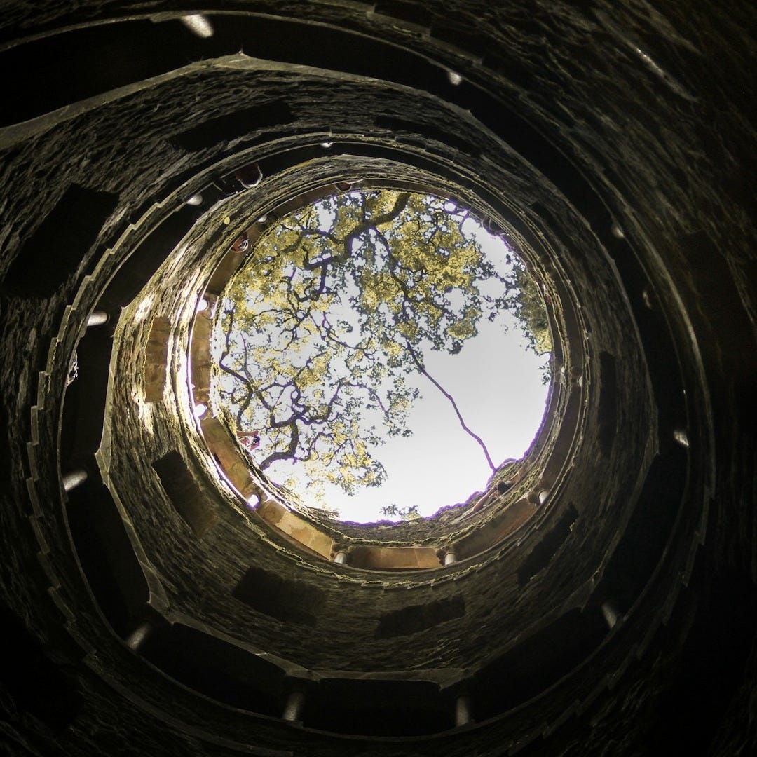 low angle photography of tree in tunnel