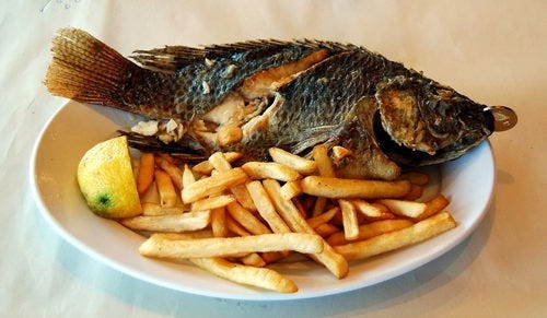 A fish from the Sea of Galilee with a coin in its mouth. Photo by F.Jenkins. A fish from the Sea of Galilee with a coin in its mouth. Photo by F.Jenkins.