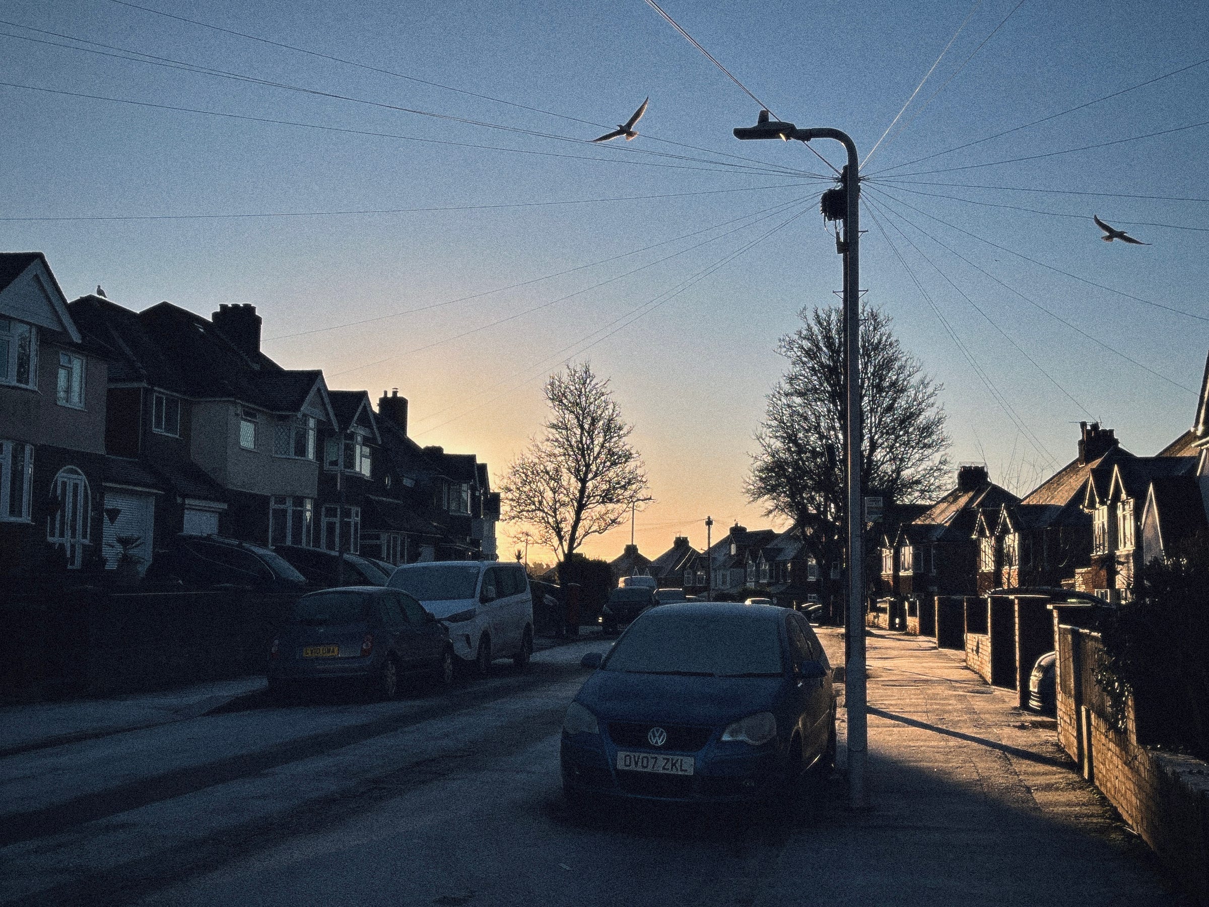 Sun rising over a street with frosty cars and birds flying above a power line