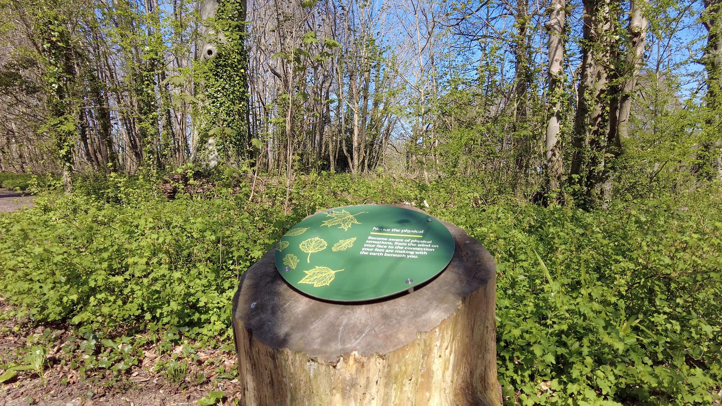 A mindfulness sign on the woodland trail at Kingston Lacy House, Dorset.