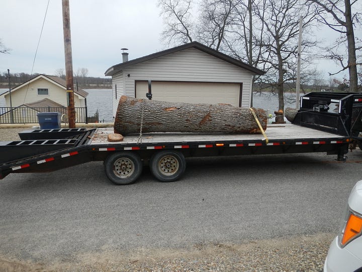 Bringing home the White Oak log