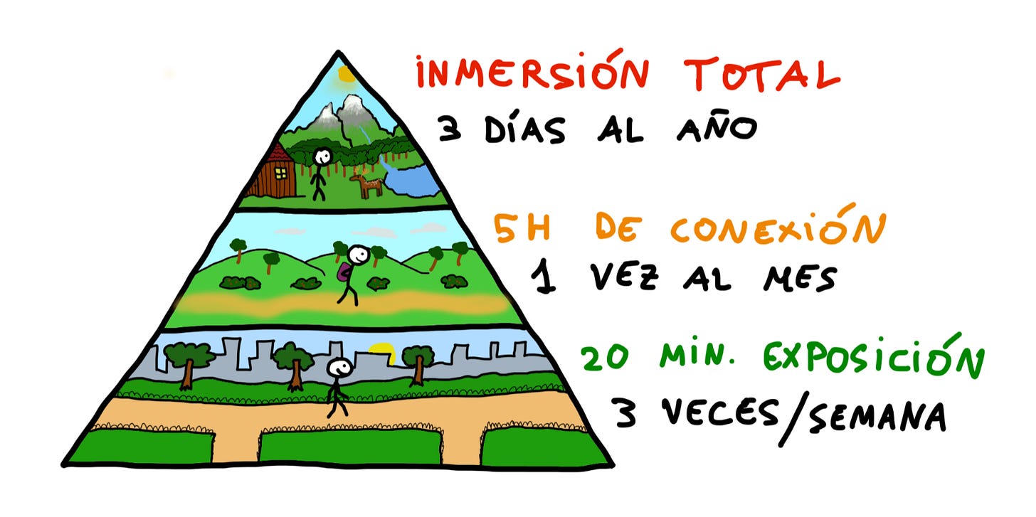 pirámide de la naturaleza